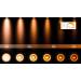 Lucide XIRAX Plafondlicht 2xGU10/5W DTW 3000K Zwart