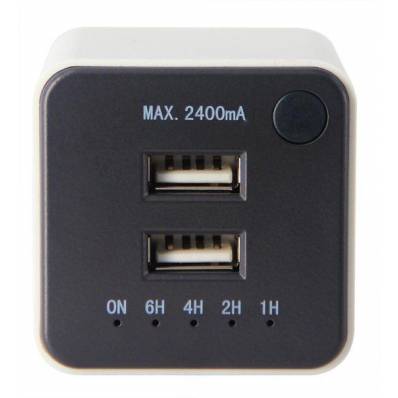 Chargeur USB Profile 2 ports USB max 2,4A minuterie intégrée 