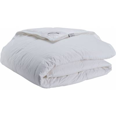 Dekbed Xclusive 100% zuivere Gans 240x220 winter 