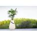 Flowerpot XL Light en Speaker Flowerpot XL Light en Speaker