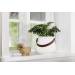 Flowerpot S Light en Speaker Flowerpot S Light en Speaker