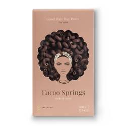 Pasta Cacao Springs 500g 