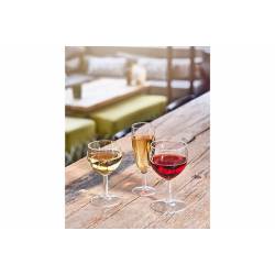 Cosy Moments by Cosy & Trendy Cosy Moments Ballon Champagneglas Set12 15cl