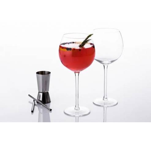 Entertain 5-delige set voor gin cocktails  Ravenhead