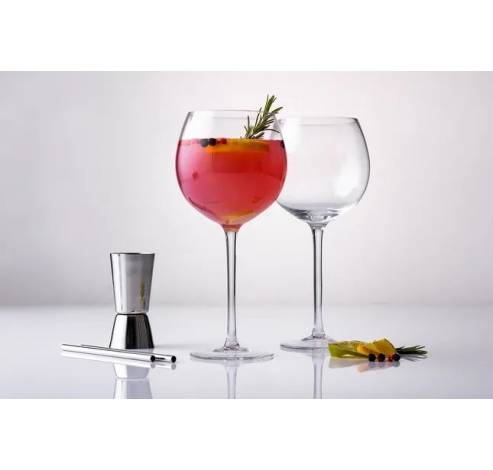Entertain 5-delige set voor gin cocktails  Ravenhead