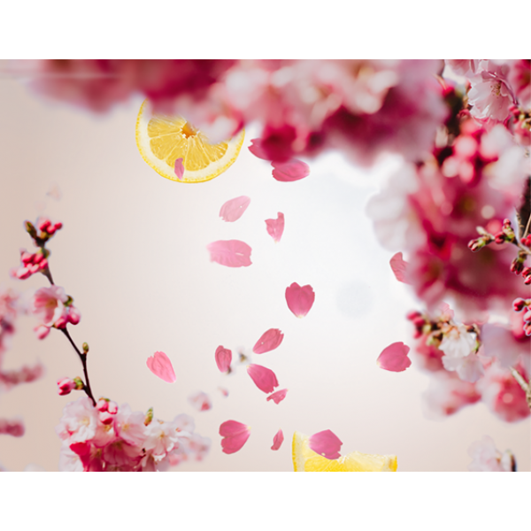 Huisparfum Cerisier en Fleurs 500ml 