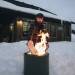 Bonfire vuurkorf met staander uit rvs Deepolive ø 49.5cm 