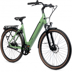 Huyser Q-bike D48 500WH Reseda Green 
