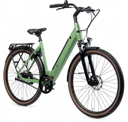 Q-bike D48 500WH Reseda Green  Huyser