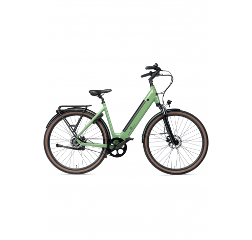 Q-bike D53 500Wh Reseda Green  Huyser